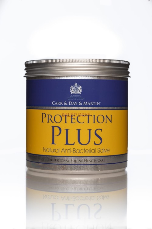 Protection +.jpg