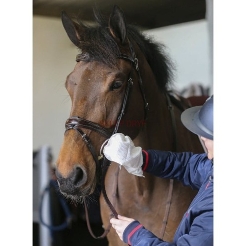 Rękawiczki do czyszczenia skóry