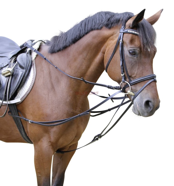 wypinacze trójkątne