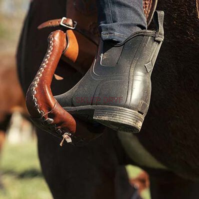 Kalosze damskie Paddock Boot