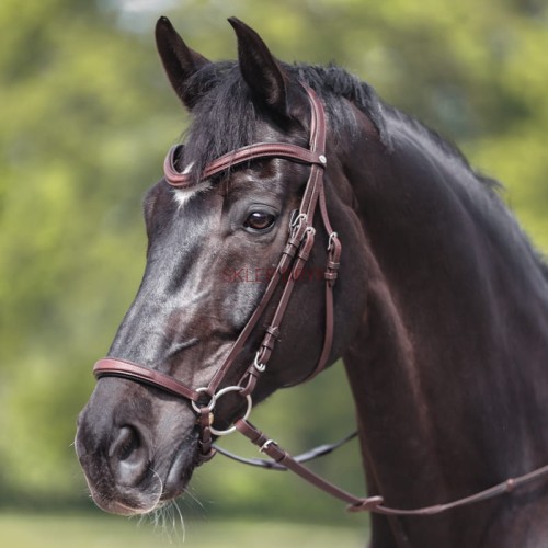 Ogłowie Everana skóra olejowana