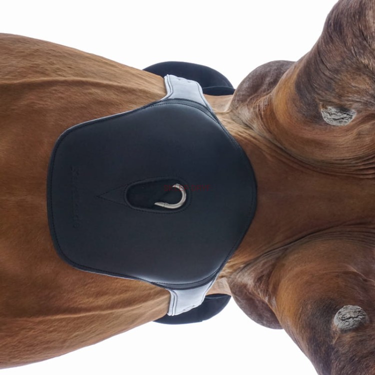 Popręg skórzany z fartuchem