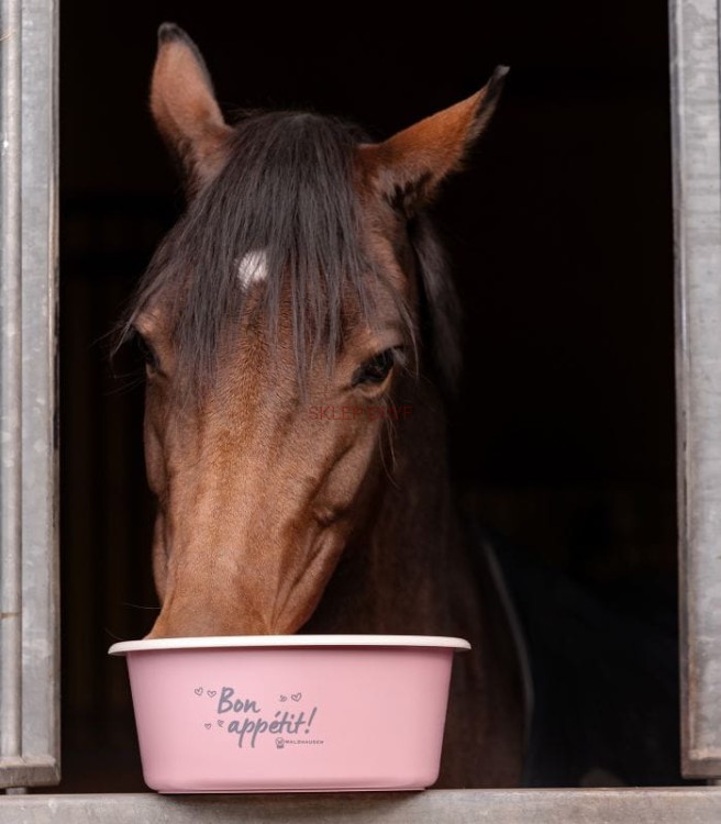 Miska na paszę z pokrywą