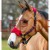 Kantar Vogue chili
