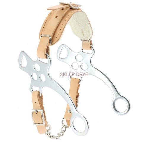 Hackamore