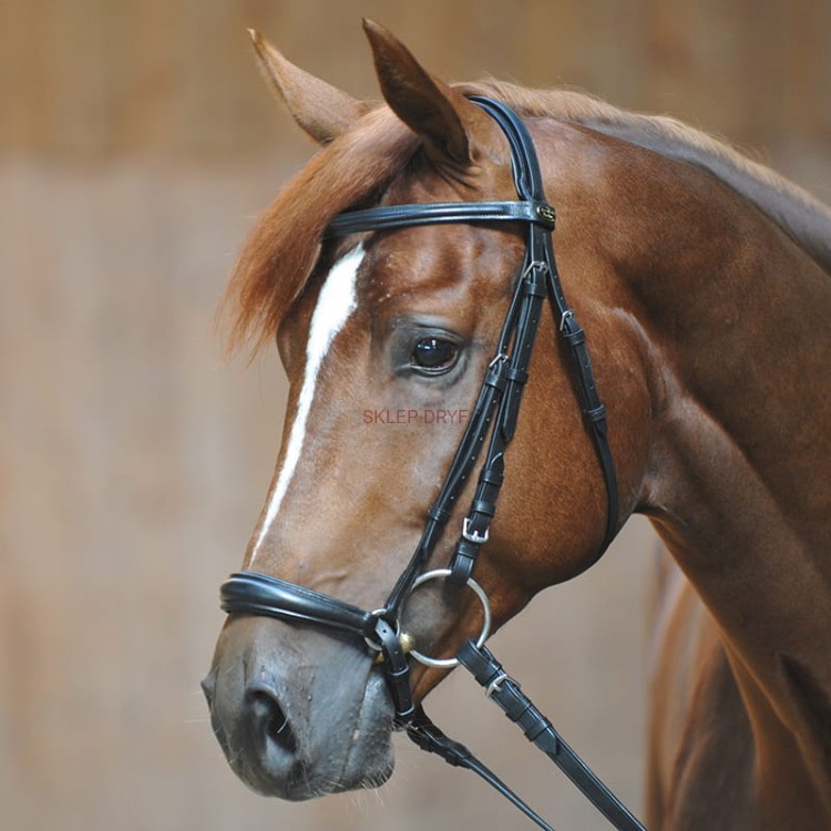 Ogłowie Lina nachrapnik hanowerski