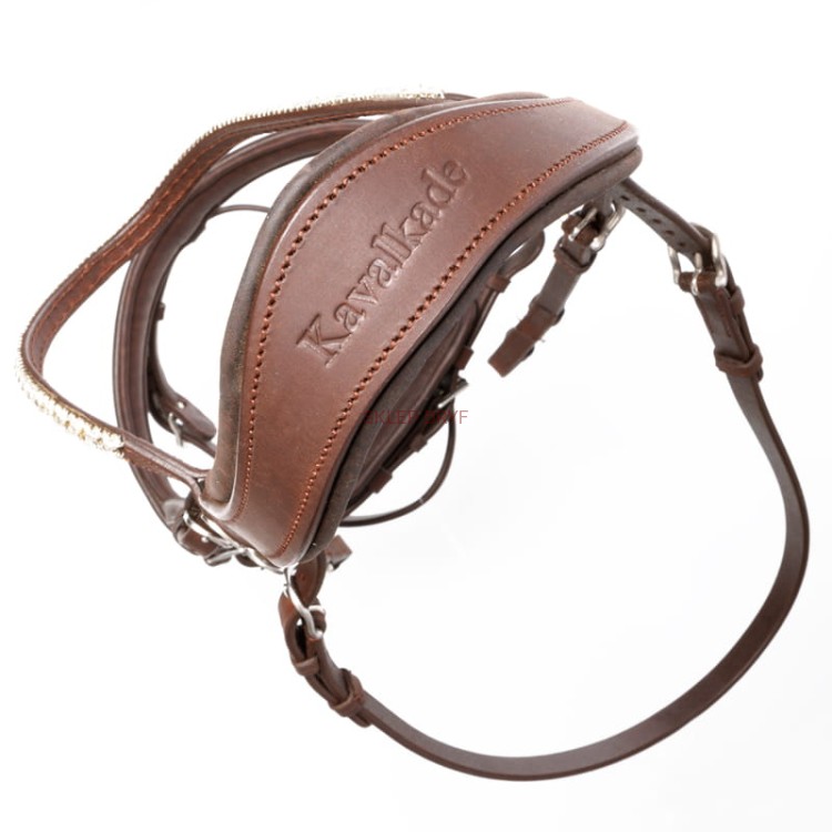 Ogłowie Everlyn z systemem KavalSH4