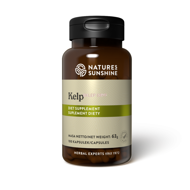 Kelp (100 kaps.) suplement diety