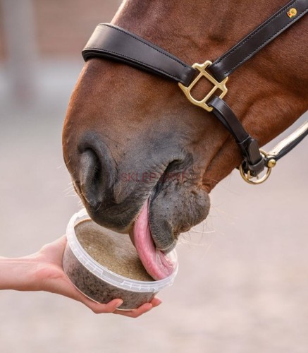 Lizawka StableSnack w pojemniku 650g