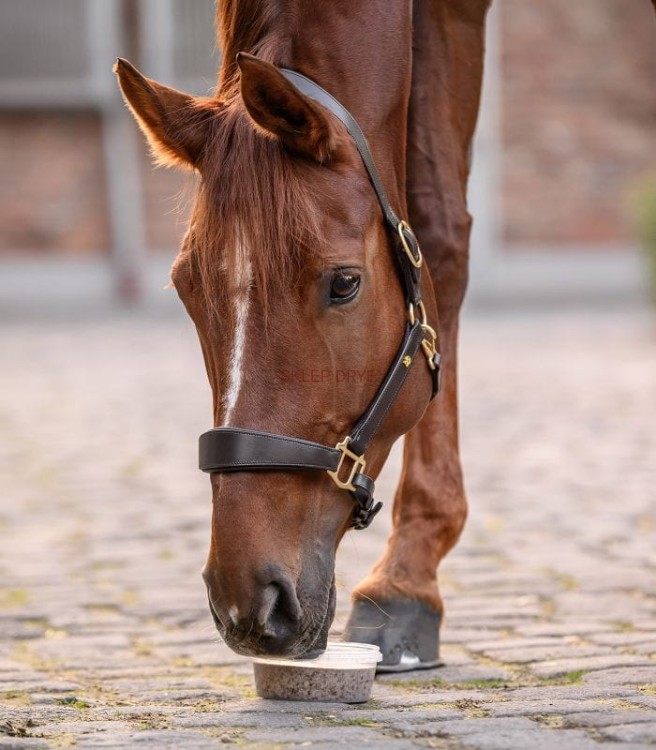 Lizawka StableSnack w pojemniku 650g